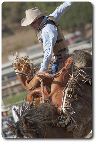 Close Up Cowboy On Horse
